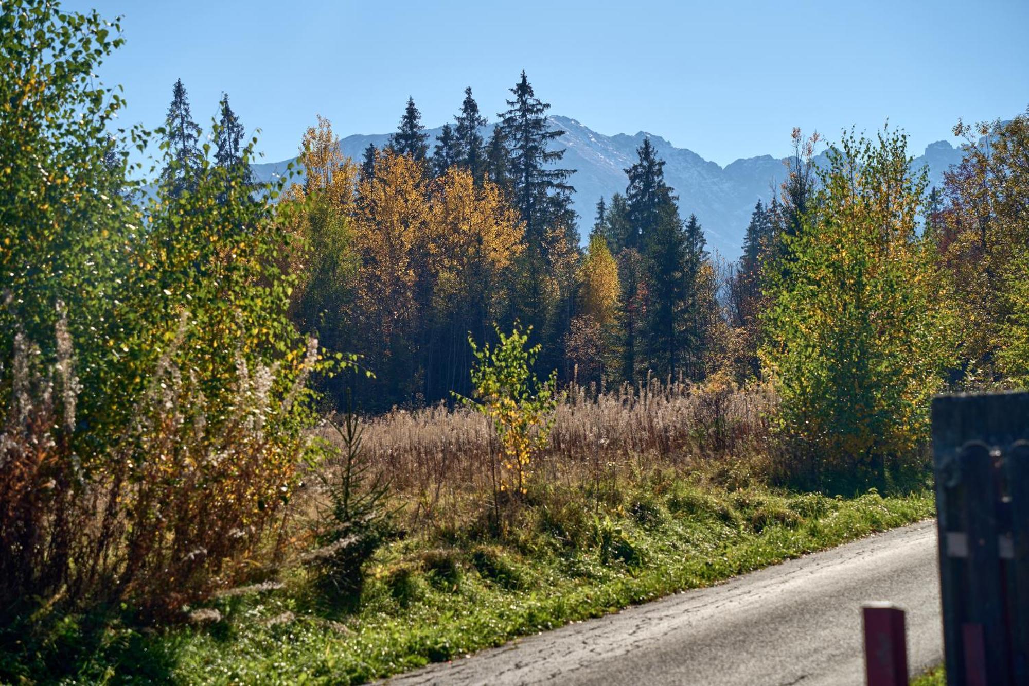 Domek Slebodny Uplaz Zakopane Exterior foto