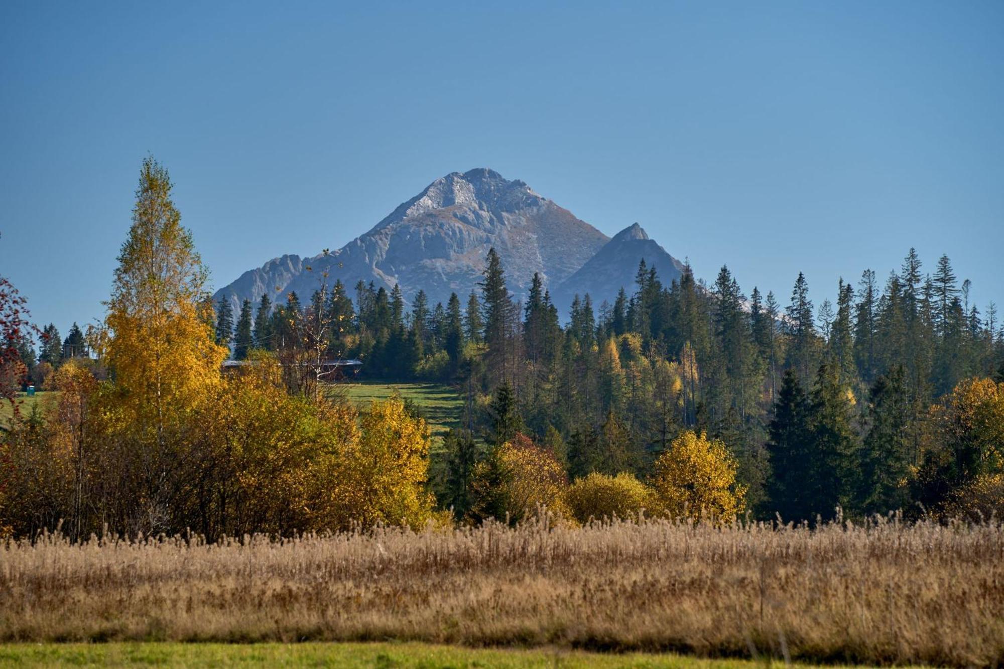 Domek Slebodny Uplaz Zakopane Exterior foto